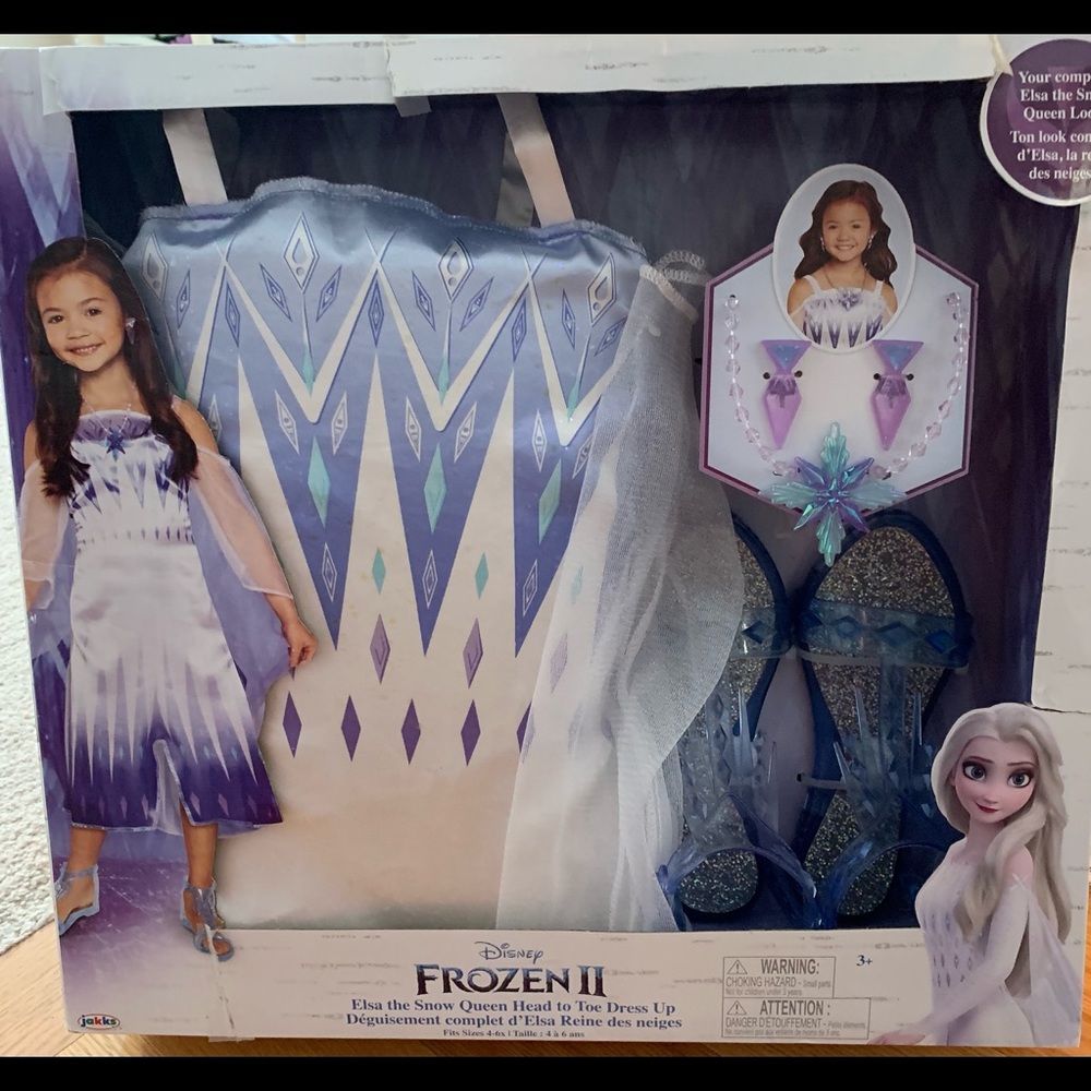 Frozen II Elsa Costume Set